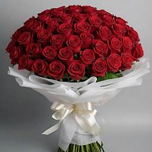 Букет 101 Красная роза Блэк Мэджик #REPLACE_PRED# Ольге