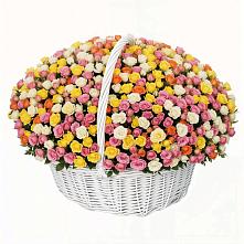 Премиум букет из: Розы в Ольге