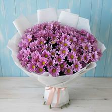 Букет цветов из:  Хризантемы в Ольге