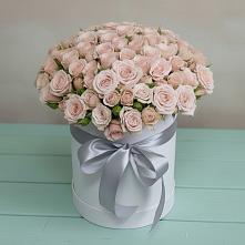 Цветочная композиция из Розы в шляпной коробке #REPLACE_PRED# Ольге