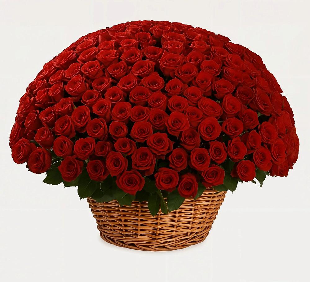 Премиум букет из: Розы в Ольге