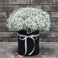 Цветочная композиция из Гипсофила в шляпной коробке #REPLACE_PRED# Ольге