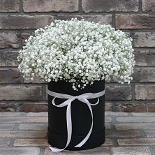 Цветочная композиция из Гипсофила в шляпной коробке в Ольге